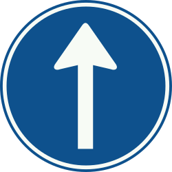 Bord D4: Go Straight Only