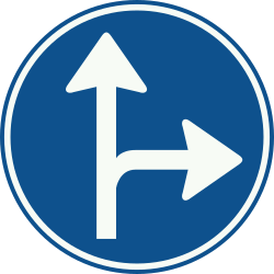 Bord D6: Compulsory direction shown